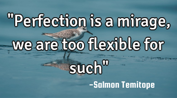 "Perfection is a mirage, we are too flexible for such"