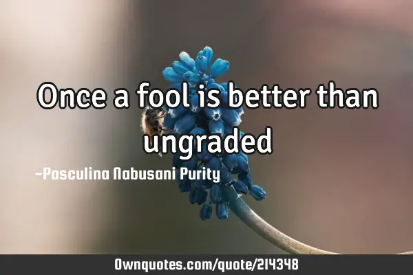 Once a fool is better than