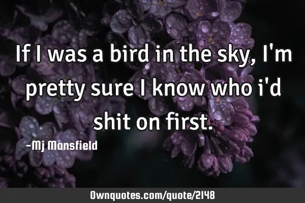 If I was a bird in the sky, i