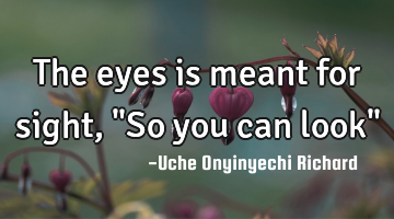 The eyes is meant for sight, "So you can look"