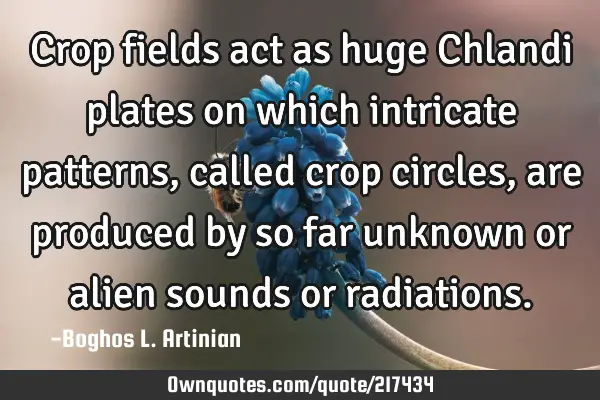 Crop fields act as huge Chlandi plates on which intricate patterns, called crop circles, are