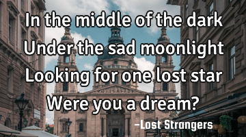 In the middle of the dark 
Under the sad moonlight 
Looking for one lost star 
Were you a dream?