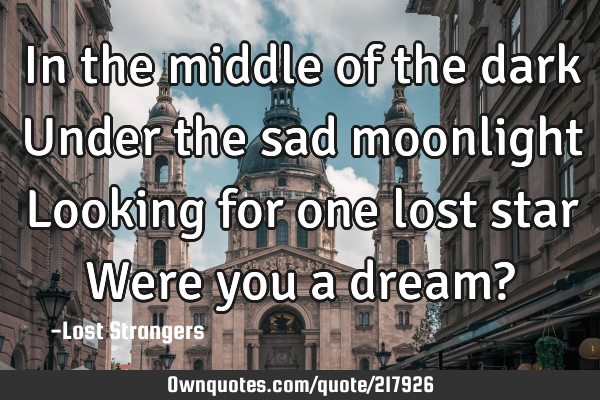 In the middle of the dark
Under the sad moonlight
Looking for one lost star
Were you a dream?