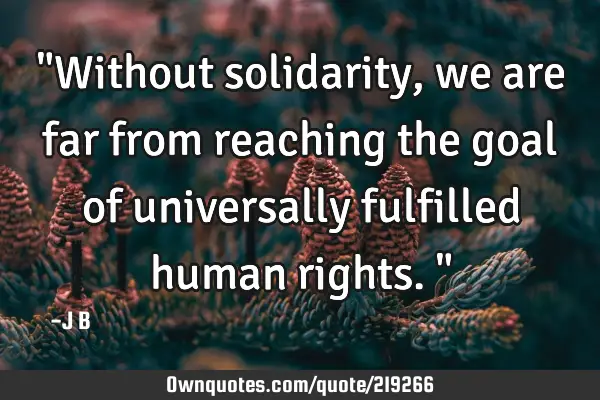 "Without solidarity, we are far from reaching the goal of universally fulfilled human rights."