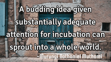 A budding idea given substantially adequate attention for incubation  can sprout into a whole world.
