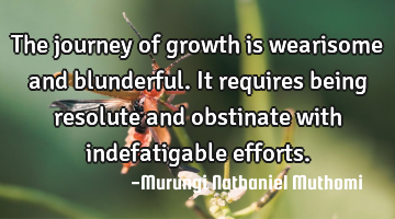 The journey of growth is wearisome and blunderful. It requires being resolute and obstinate with