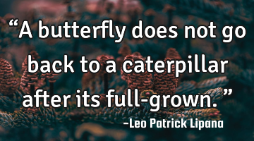 “A butterfly does not go back to a caterpillar after its full-grown.”