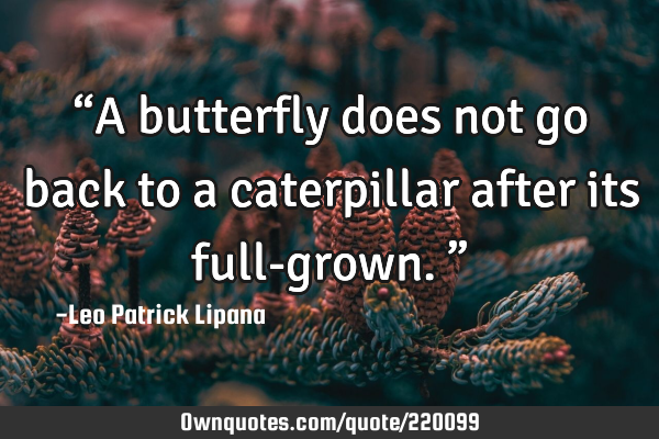 “A butterfly does not go back to a caterpillar after its full-grown.”