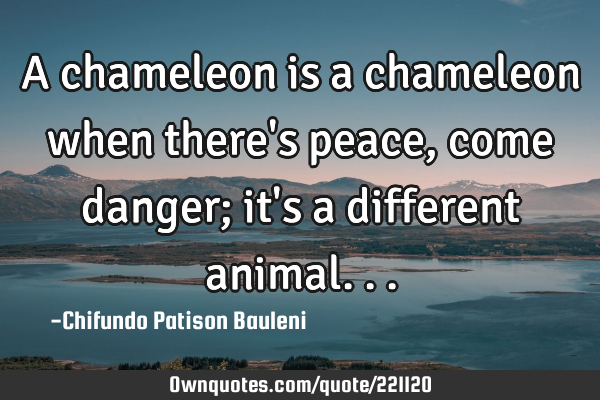 A chameleon is a chameleon when there