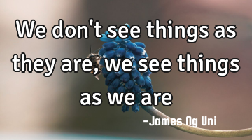 We don