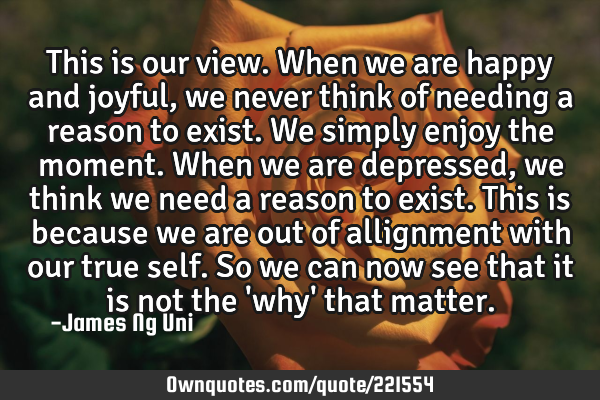 This is our view. When we are happy and joyful, we never think of needing a reason to exist. We