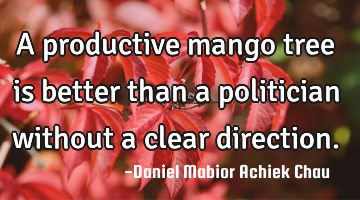 A productive mango tree is better than a politician without a clear direction.
