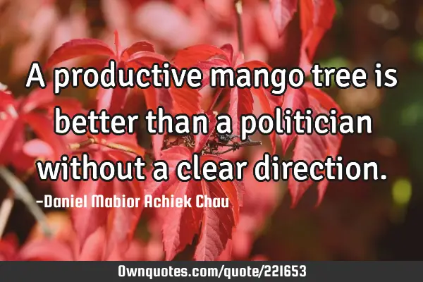 A productive mango tree is better than a politician without a clear