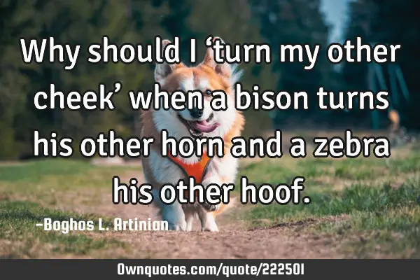 Why should I ‘turn my other cheek’ when a bison turns his other horn and a zebra his other