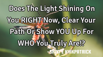 Does The Light Shining On You RIGHT Now, Clear Your Path Or Show YOU Up For WHO You Truly Are!?
