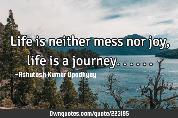 Life is neither mess nor joy, life is a