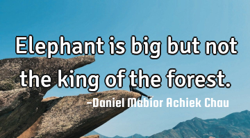 Elephant is big but not the king of the forest.