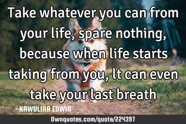 Take whatever you can from your life, spare nothing, because when life starts taking from you, lt