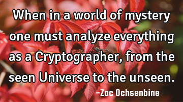 When in a world of mystery one must analyze everything as a Cryptographer, from the seen Universe