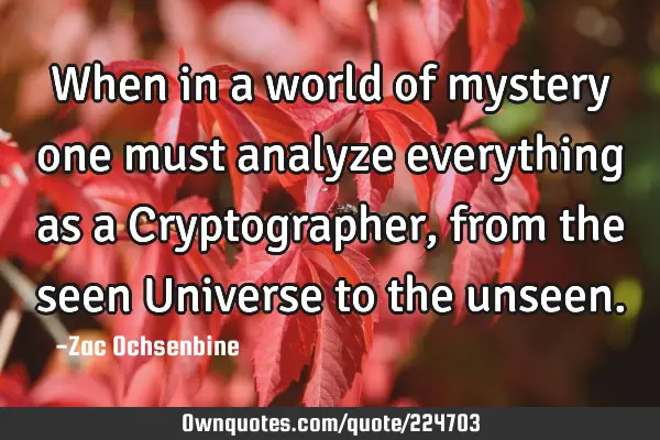 When in a world of mystery one must analyze everything as a Cryptographer, from the seen Universe