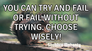 YOU CAN
TRY AND FAIL
OR
FAIL WITHOUT TRYING.
CHOOSE WISELY!
