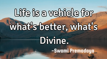 Life is a vehicle for what