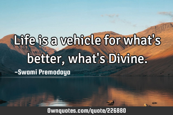 Life is a vehicle for what