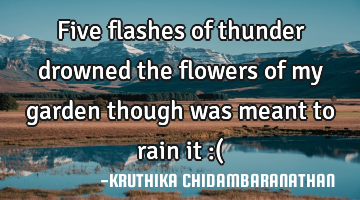 Five flashes of thunder drowned the flowers of my garden though was meant to rain it :(