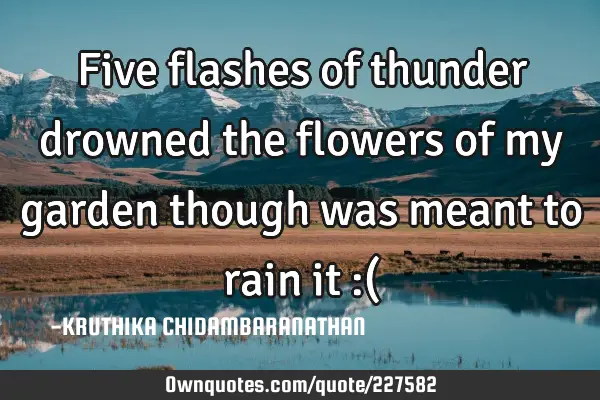 Five flashes of thunder drowned the flowers of my garden though was meant to rain it :(