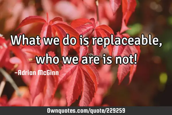 What we do is replaceable, who we are is not!: OwnQuotes.com