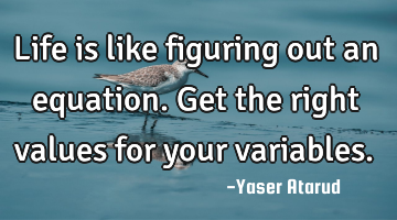 Life is like figuring out an equation. Get the right values for your variables.