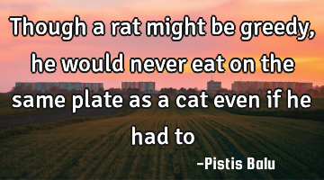 Though a rat might be greedy, he would never eat on the same plate as a cat even if he had to