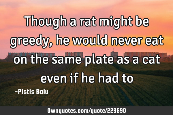 Though a rat might be greedy, he would never eat on the same plate as a cat even if he had