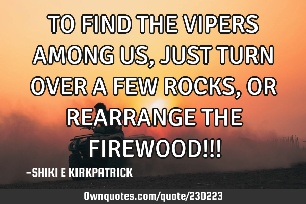 TO FIND THE VIPERS AMONG US, JUST TURN OVER A FEW ROCKS, OR REARRANGE THE FIREWOOD!!!