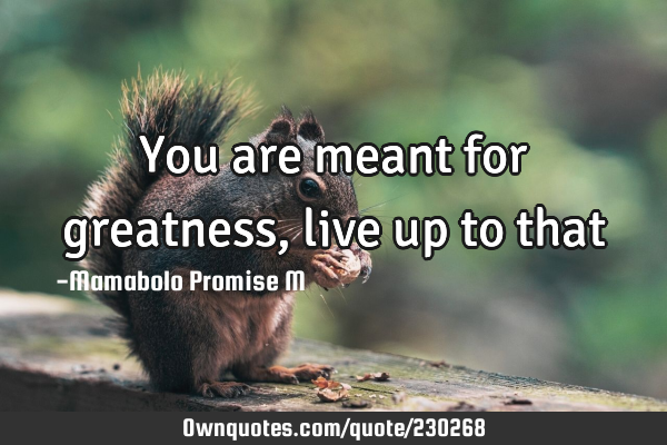 You are meant for greatness, live up to