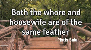 Both the whore and housewife are of the same feather