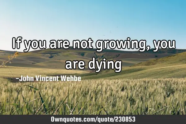 If you are not growing, you are