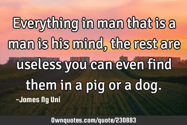 Everything in man that is a man is his mind,
 the rest are useless you can even find them in a pig