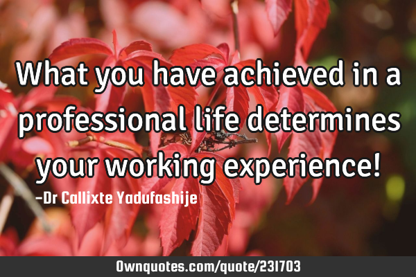 What you have achieved in a professional life determines your working experience!