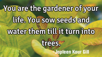 You are the gardener of your life. You sow seeds and water them till it turn into trees.