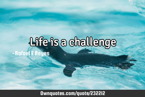 Life is a