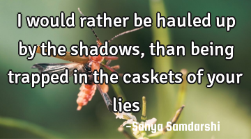 I would rather be hauled up by the shadows,
than being trapped in the caskets of your lies