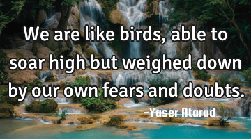 We are like birds, able to soar high but weighed down by our own fears and doubts.