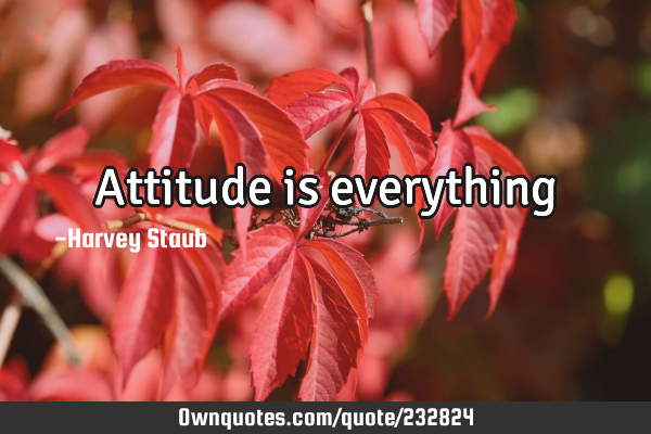 Attitude is