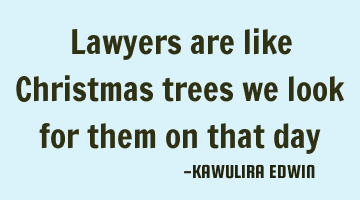 Lawyers are like Christmas trees we look for them on that day
