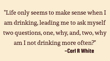 "Life only seems to make sense when I am drinking, leading me to ask myself two questions, one, why,