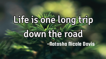 Life is one long trip down the road