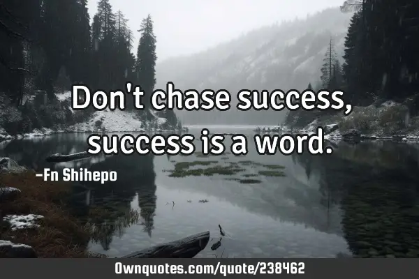 Don't chase success, success is a word.: OwnQuotes.com