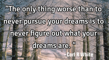 "The only thing worse than to never pursue your dreams is to never figure out what your dreams are."