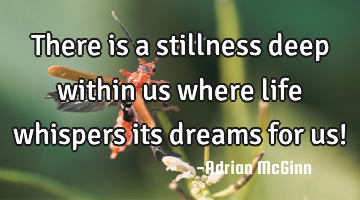 There is a stillness deep within us where life whispers its dreams for us!